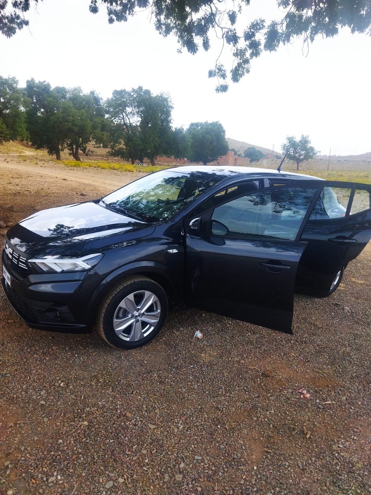 Sandero Stepway - Toute option photo 2