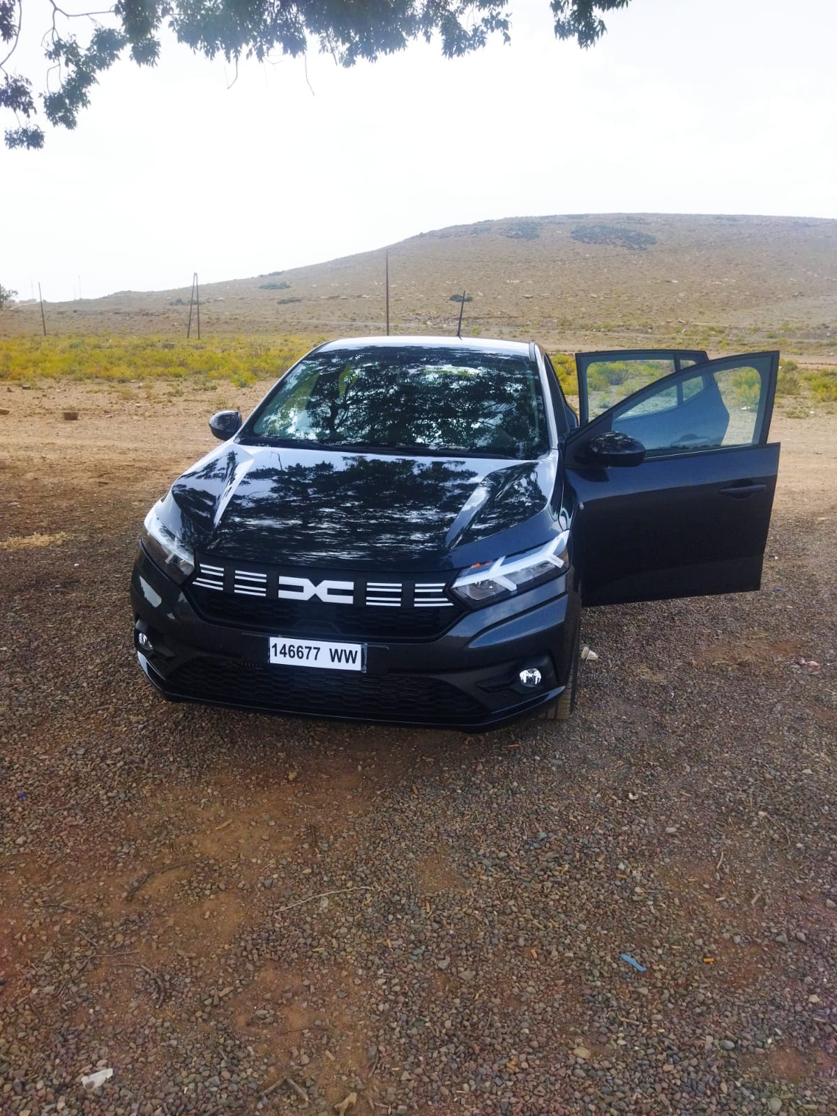 Sandero Stepway - Toute option photo 3